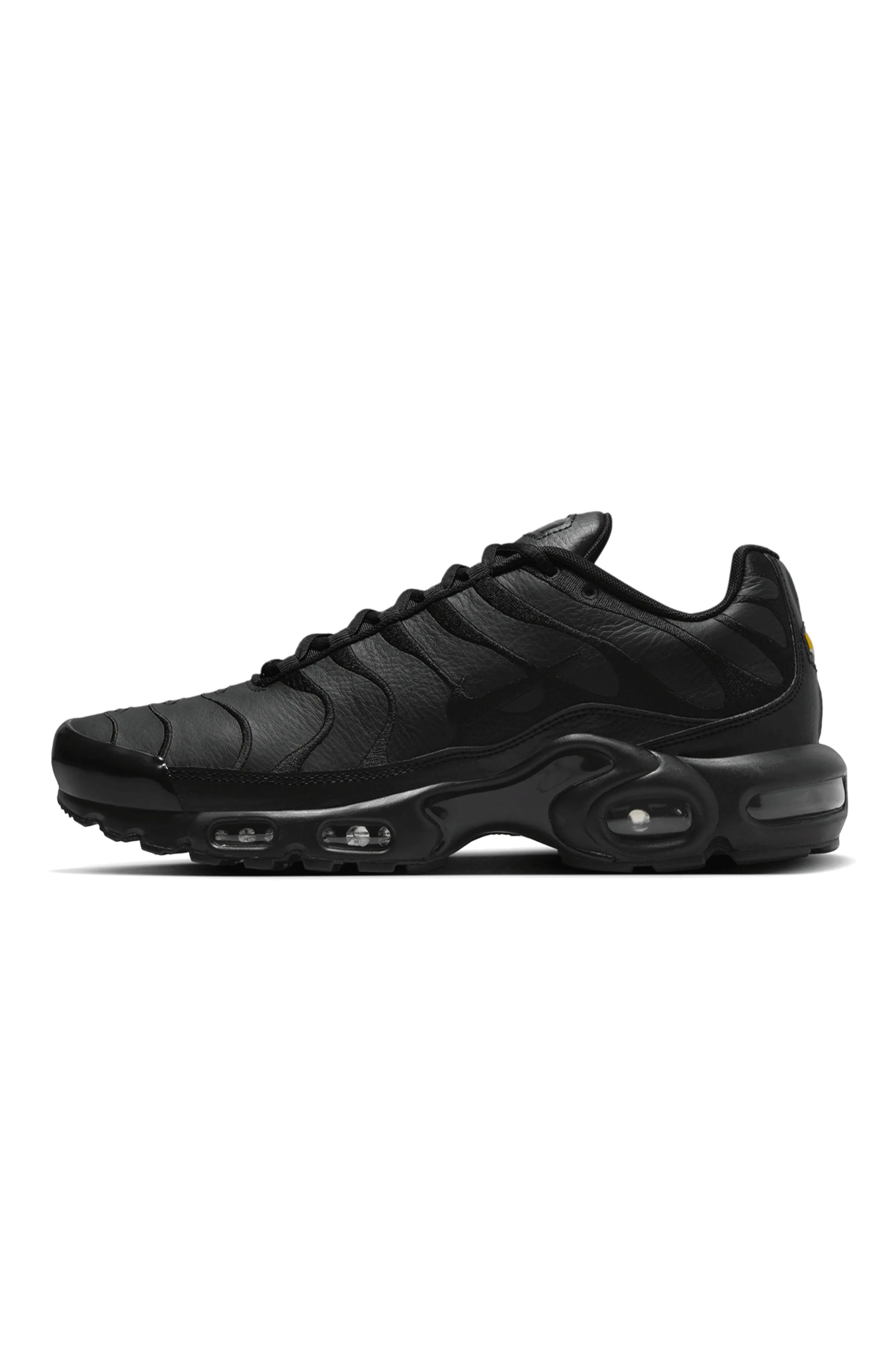Air Max Plus