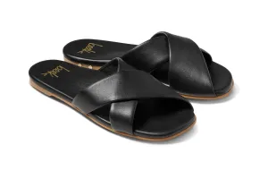 FERNBIRD - Black