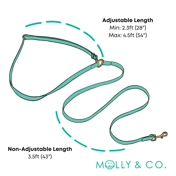 Forest - Splashproof Handsfree Dog Leash