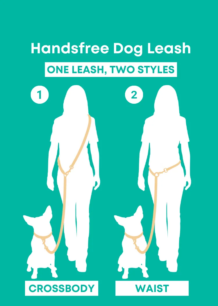 Forest - Splashproof Handsfree Dog Leash