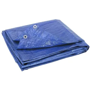 Heavy Duty Waterproof Tarpaulin 5x6m (Blue)