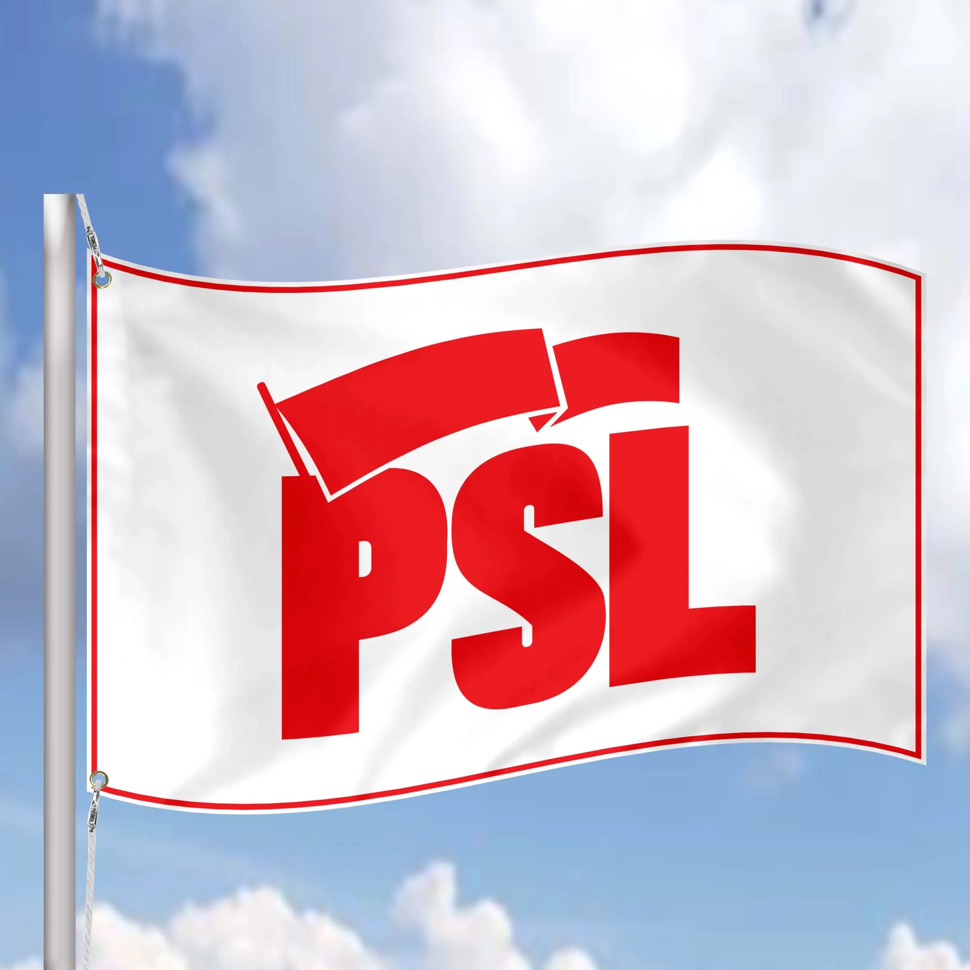 Party of Socialism and Liberation PSL USA Flag Banner