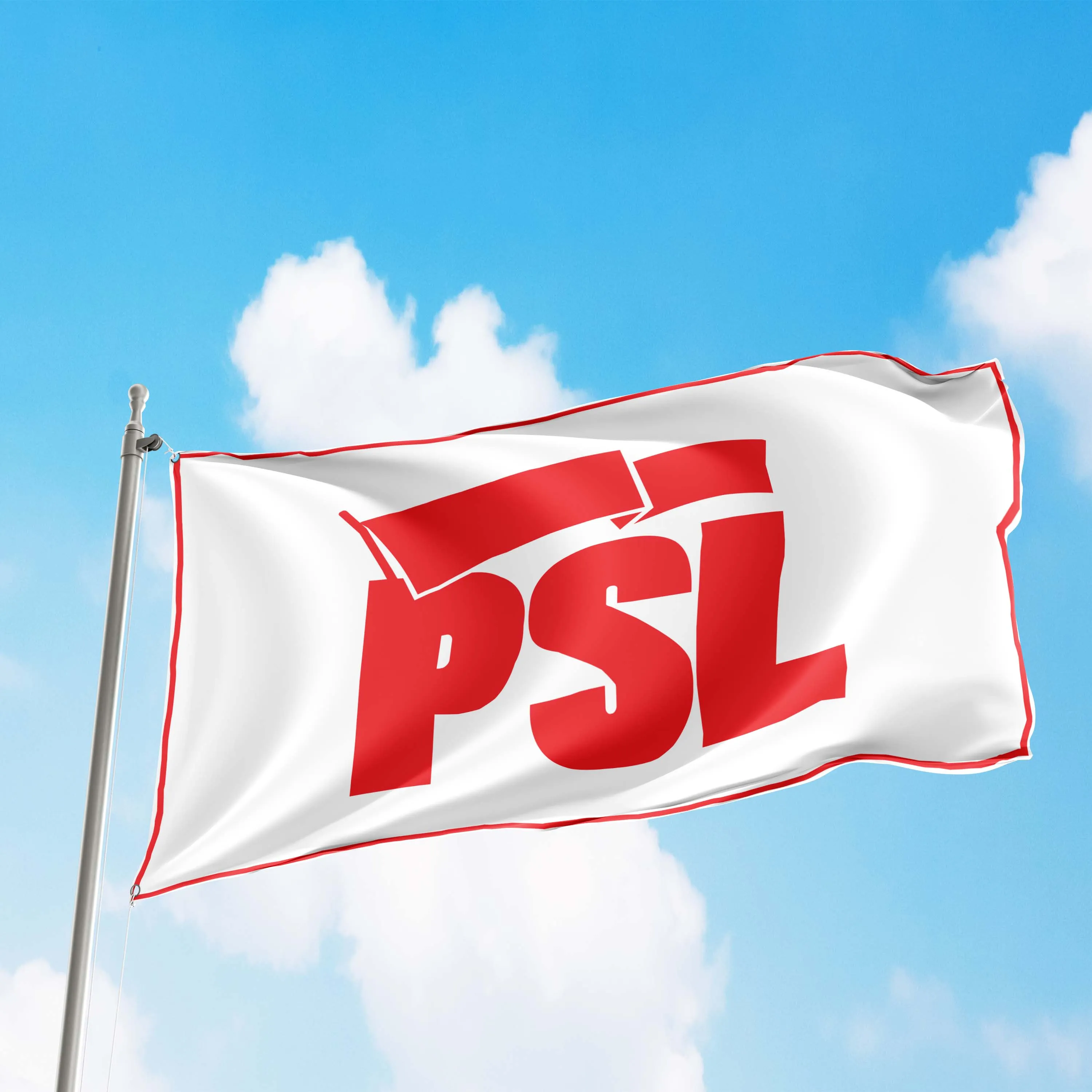Party of Socialism and Liberation PSL USA Flag Banner