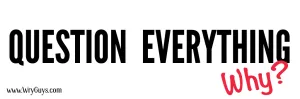 Question Everything
