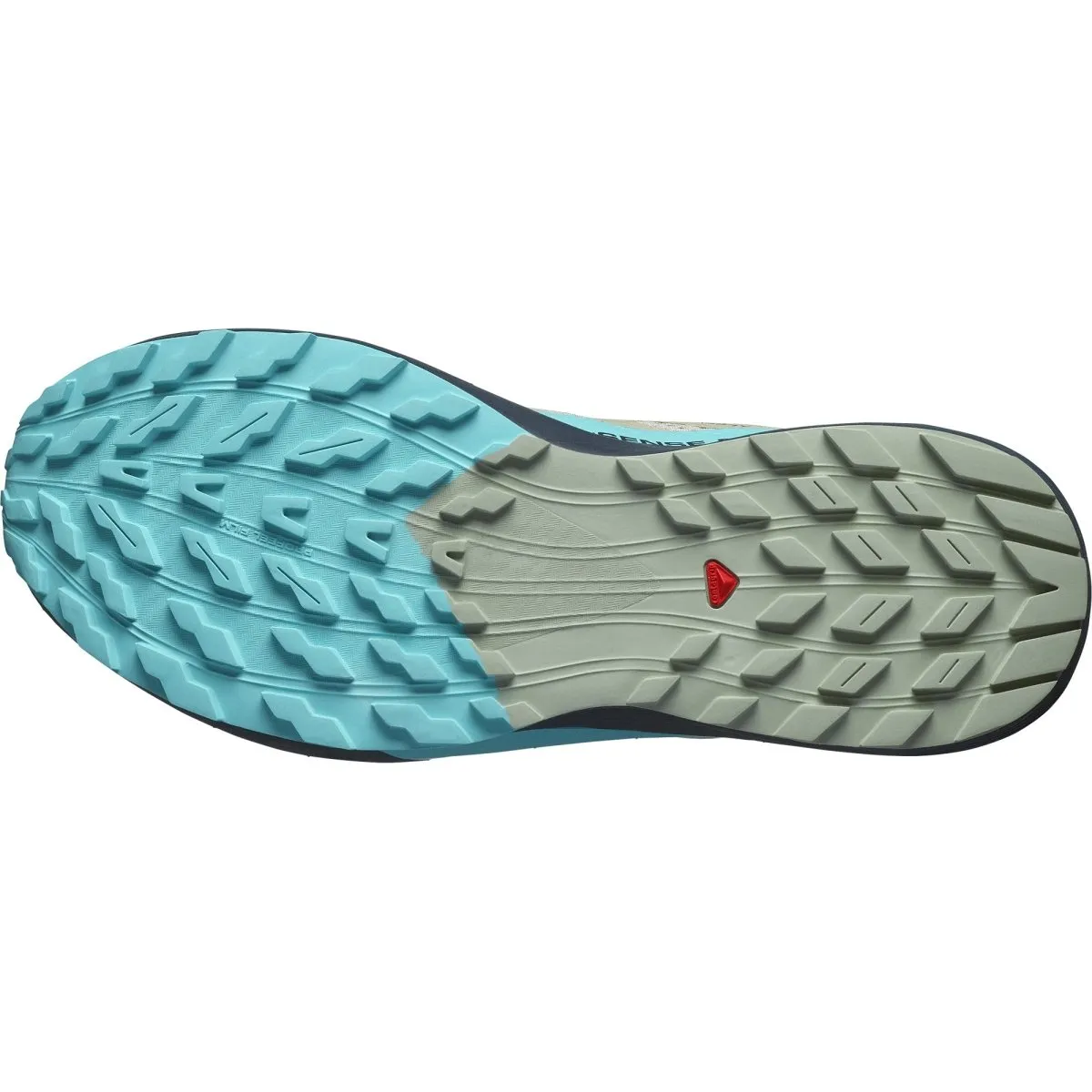Salomon - Sense Ride 5 - Alfalfa/Carbon/Peacock Blue - Men's