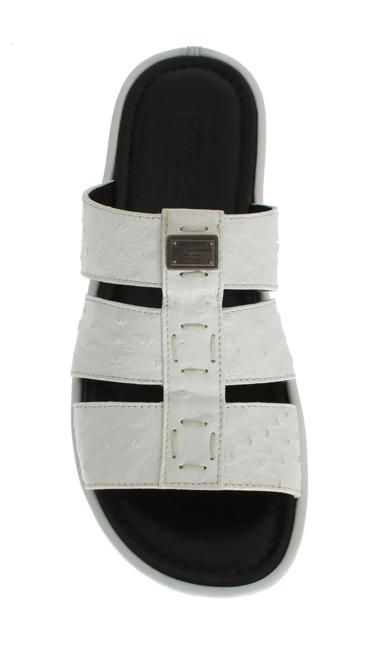 White Ostrich Leather Slides Sandals